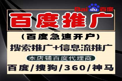 SEM推广实战：成功案例剖析