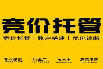 竞价广告的优化技巧：XX行业领先企业的成功经验